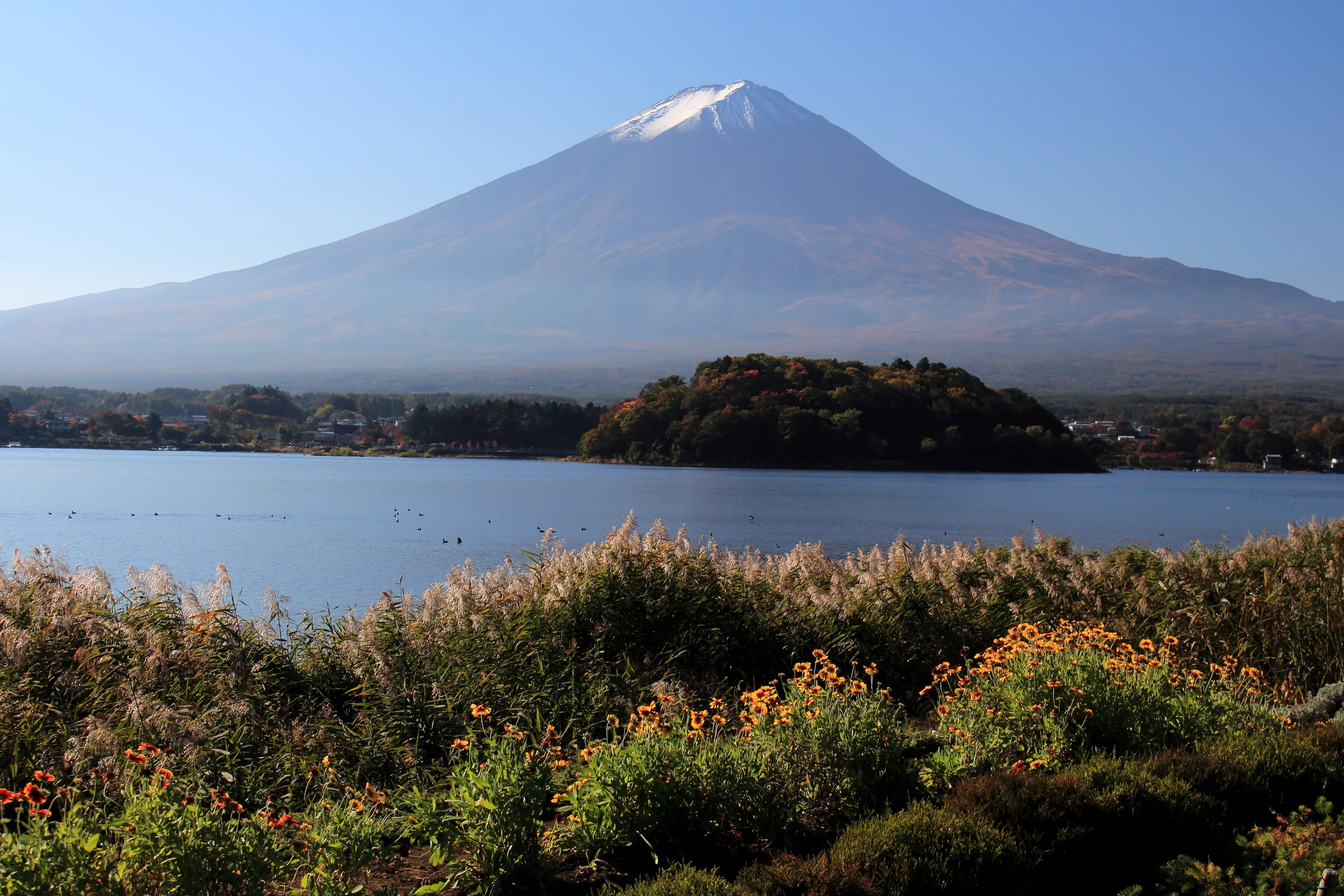 Mount Fuji seen across Lake Kawaguchi from Oishi Park