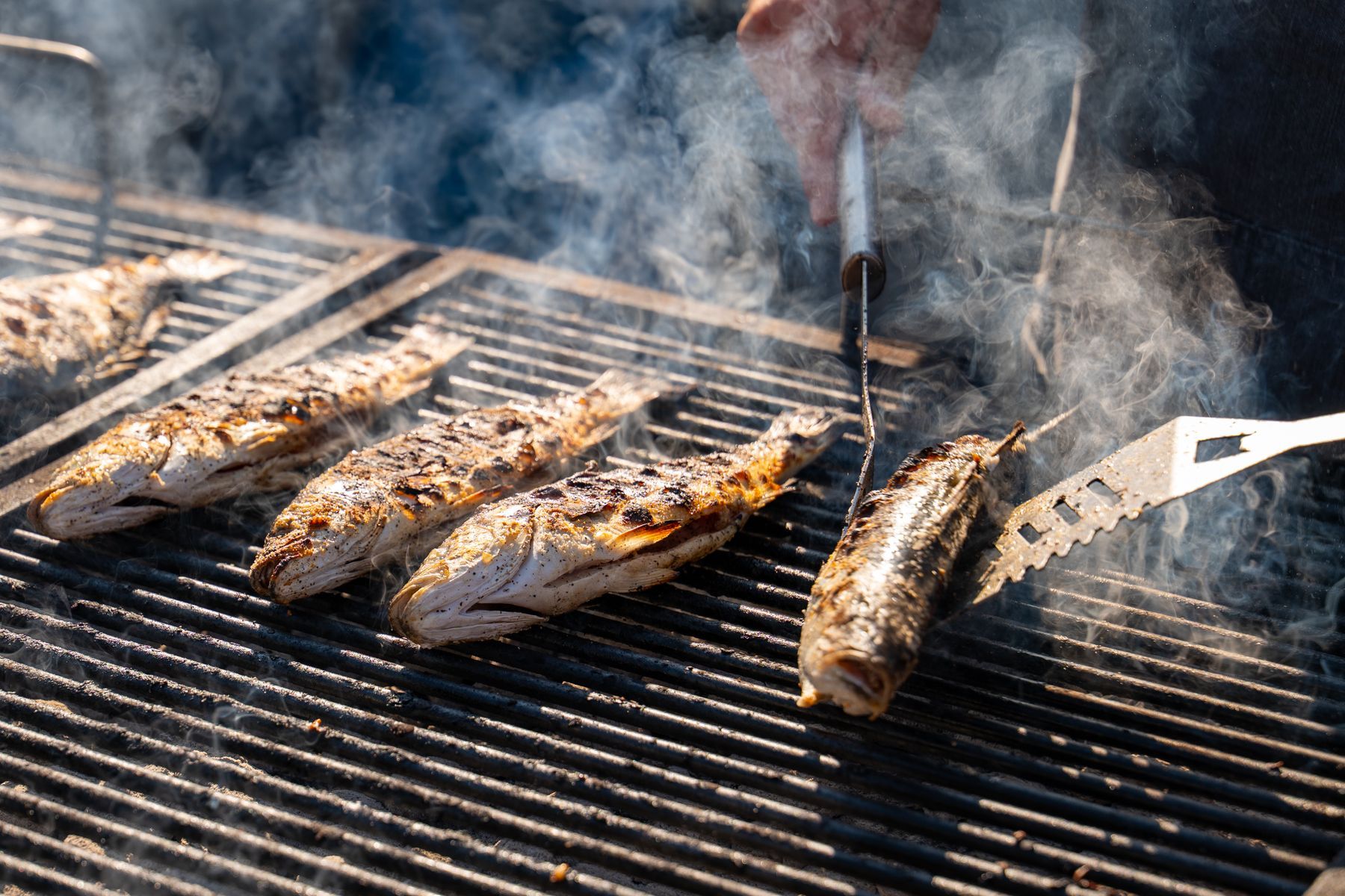 Illustrative photograph: fish grilling over charcoal
